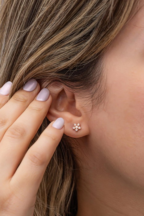 Heliophilia Silver Pendientes de Plata de Ley 925 con Oro Rosa y Circón